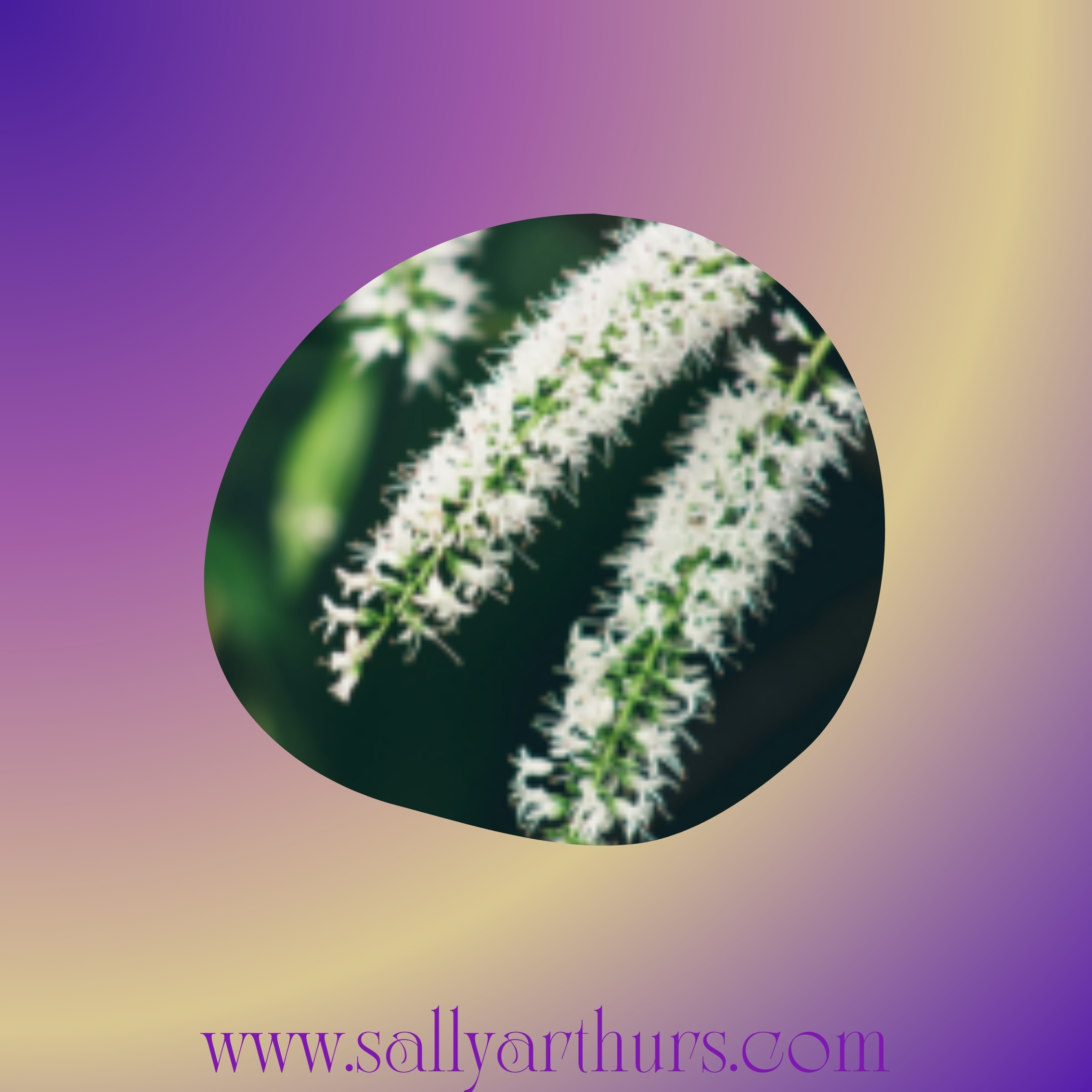 Hebe White Wand Essence – a vibrational remedy for self-expression, healing wounds of being unheard, and restoring balance in relationships.