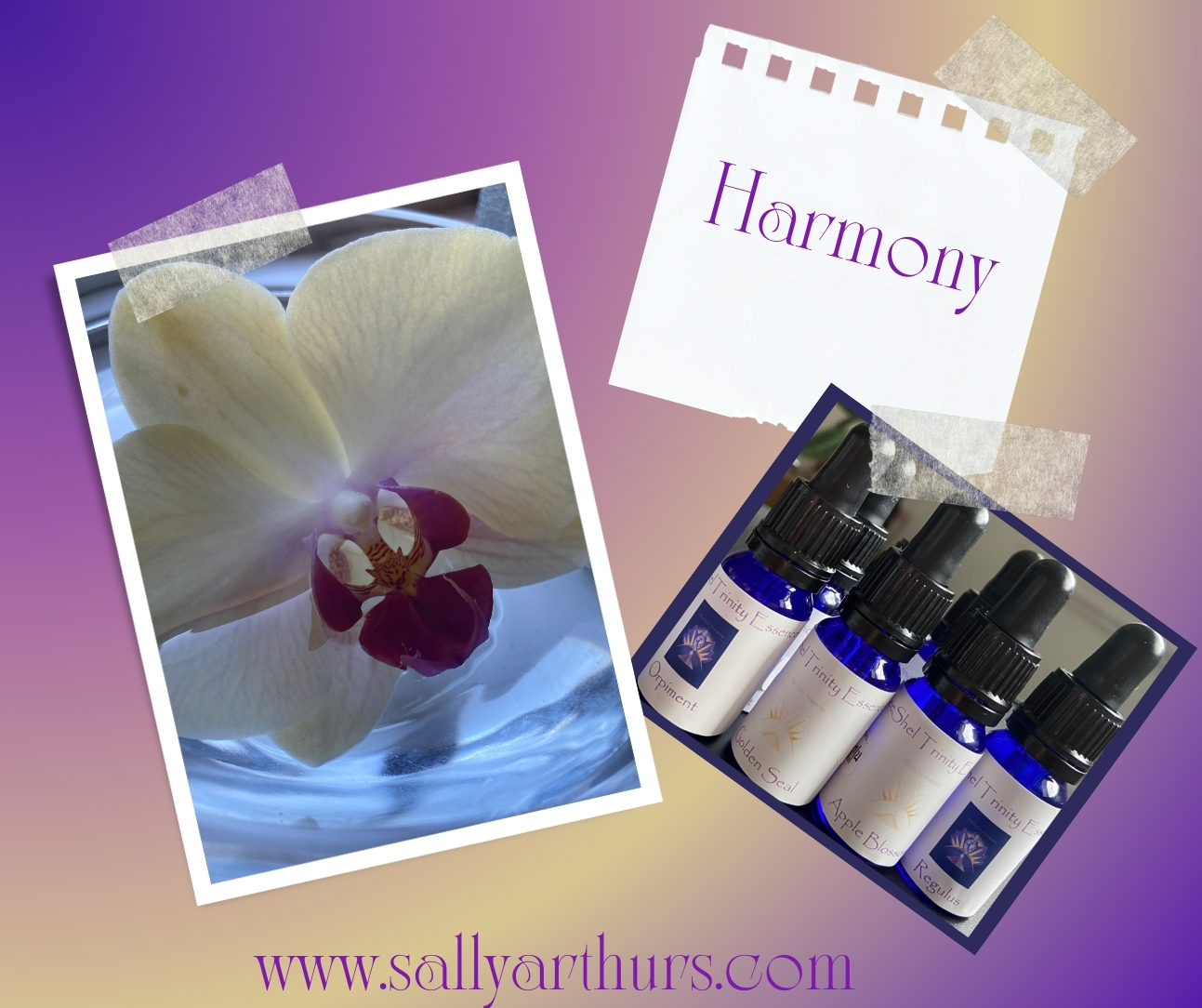 Harmony Orchid Essence